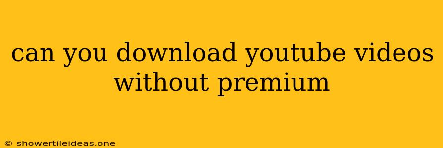 Can You Download Youtube Videos Without Premium