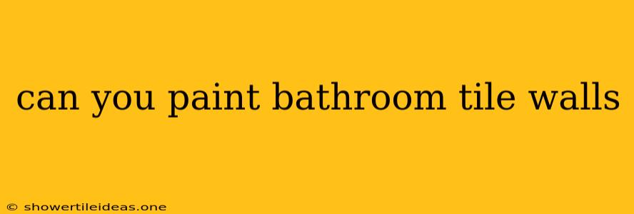 Can You Paint Bathroom Tile Walls