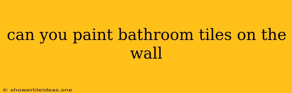 Can You Paint Bathroom Tiles On The Wall