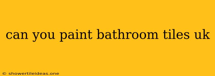 Can You Paint Bathroom Tiles Uk