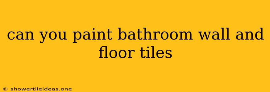 Can You Paint Bathroom Wall And Floor Tiles