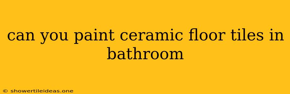 Can You Paint Ceramic Floor Tiles In Bathroom