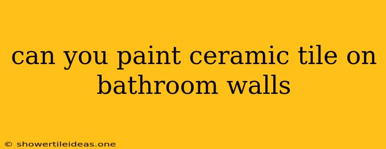 Can You Paint Ceramic Tile On Bathroom Walls