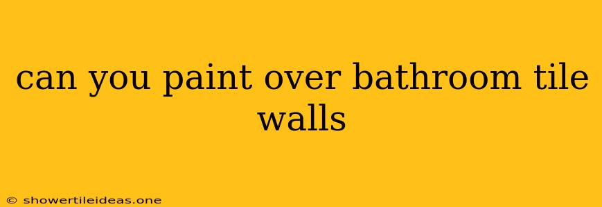 Can You Paint Over Bathroom Tile Walls