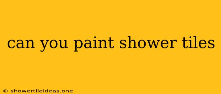 Can You Paint Shower Tiles