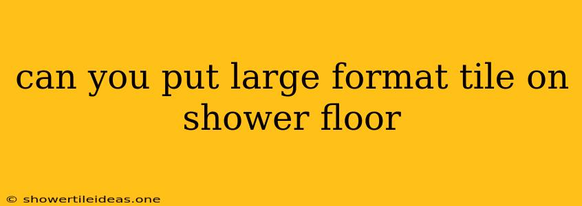 Can You Put Large Format Tile On Shower Floor