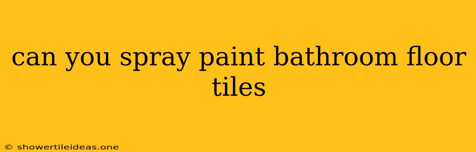 Can You Spray Paint Bathroom Floor Tiles