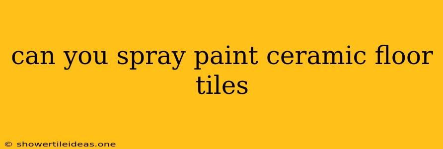 Can You Spray Paint Ceramic Floor Tiles