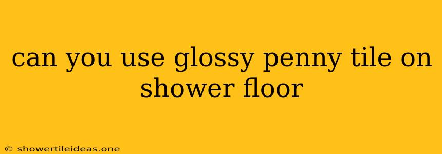 Can You Use Glossy Penny Tile On Shower Floor