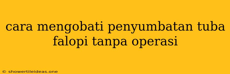 Cara Mengobati Penyumbatan Tuba Falopi Tanpa Operasi