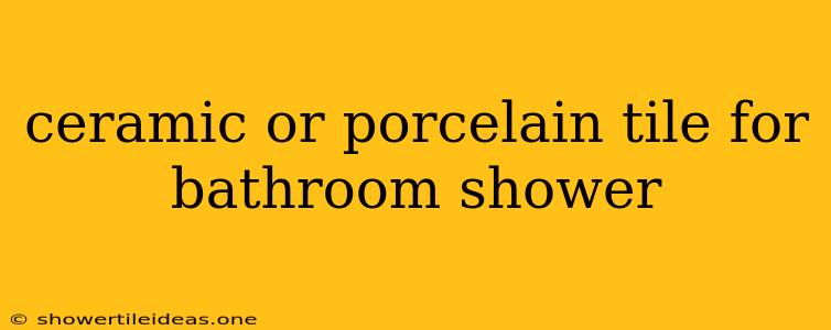 Ceramic Or Porcelain Tile For Bathroom Shower