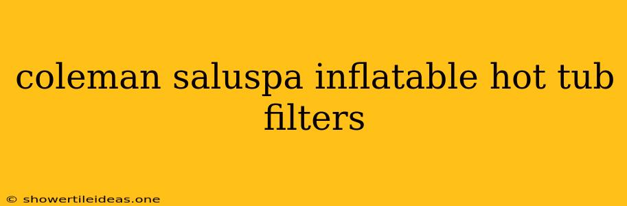 Coleman Saluspa Inflatable Hot Tub Filters