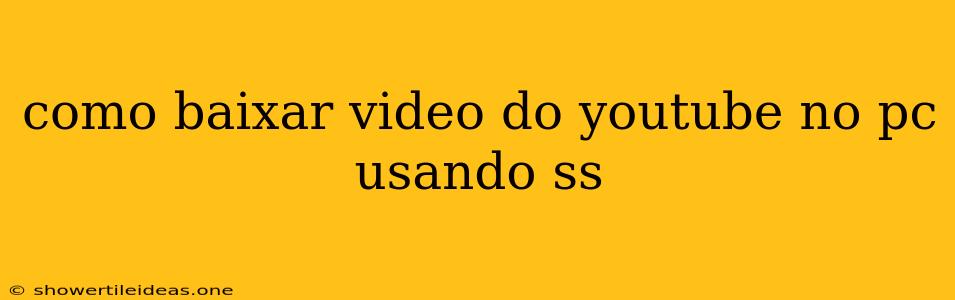 Como Baixar Video Do Youtube No Pc Usando Ss