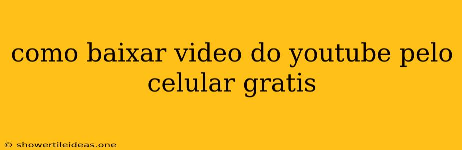 Como Baixar Video Do Youtube Pelo Celular Gratis