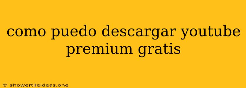 Como Puedo Descargar Youtube Premium Gratis