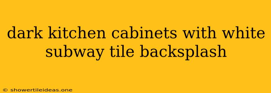 Dark Kitchen Cabinets With White Subway Tile Backsplash