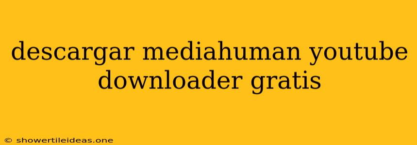 Descargar Mediahuman Youtube Downloader Gratis