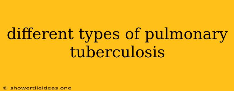 Different Types Of Pulmonary Tuberculosis