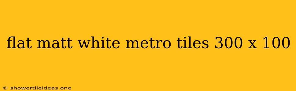 Flat Matt White Metro Tiles 300 X 100