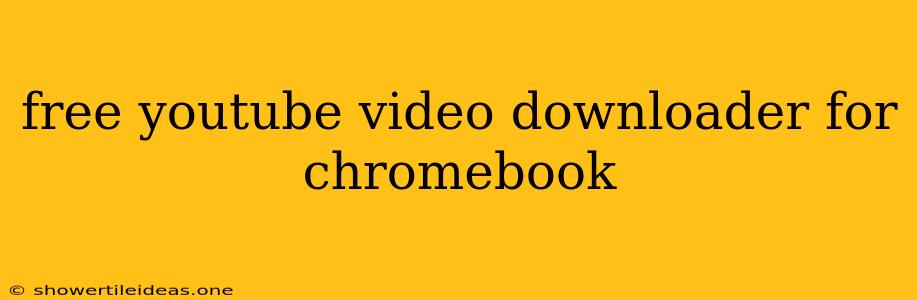 Free Youtube Video Downloader For Chromebook