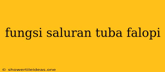 Fungsi Saluran Tuba Falopi