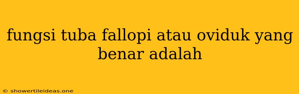 Fungsi Tuba Fallopi Atau Oviduk Yang Benar Adalah