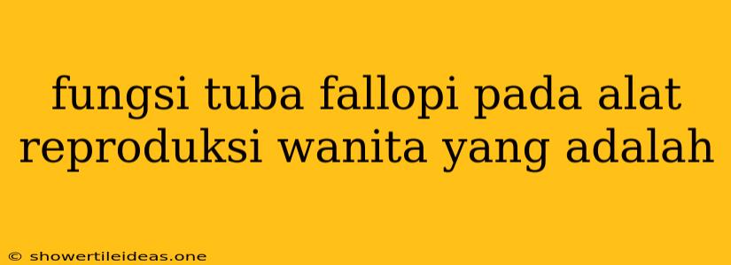 Fungsi Tuba Fallopi Pada Alat Reproduksi Wanita Yang Adalah