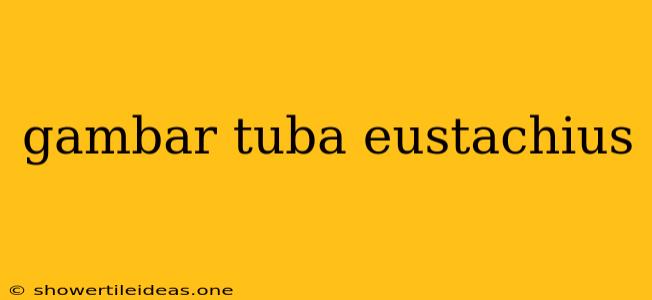 Gambar Tuba Eustachius