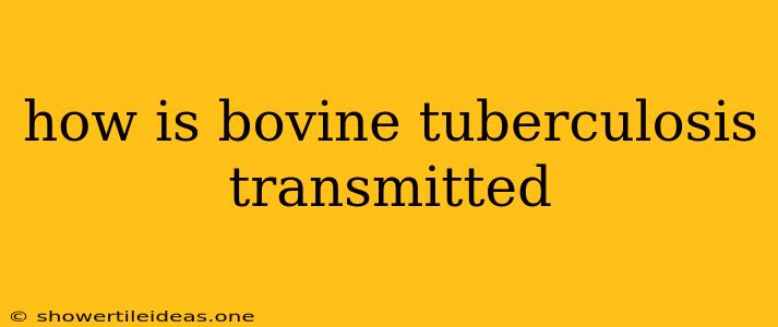 How Is Bovine Tuberculosis Transmitted