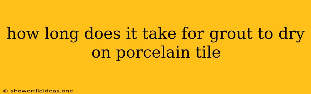 How Long Does It Take For Grout To Dry On Porcelain Tile