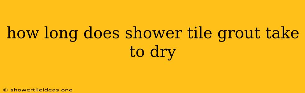 How Long Does Shower Tile Grout Take To Dry