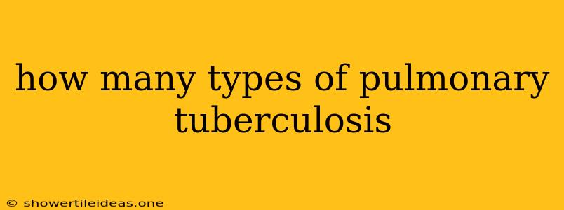 How Many Types Of Pulmonary Tuberculosis