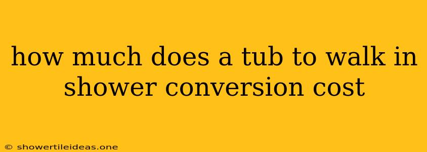 How Much Does A Tub To Walk In Shower Conversion Cost