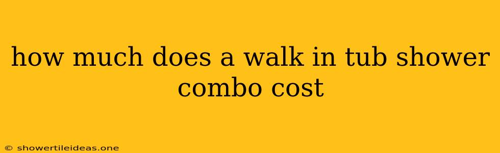 How Much Does A Walk In Tub Shower Combo Cost