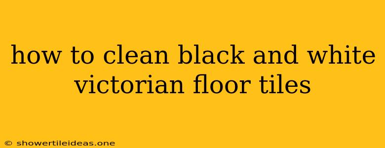 How To Clean Black And White Victorian Floor Tiles