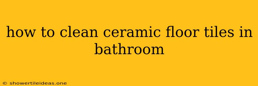 How To Clean Ceramic Floor Tiles In Bathroom