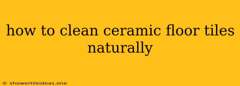 How To Clean Ceramic Floor Tiles Naturally