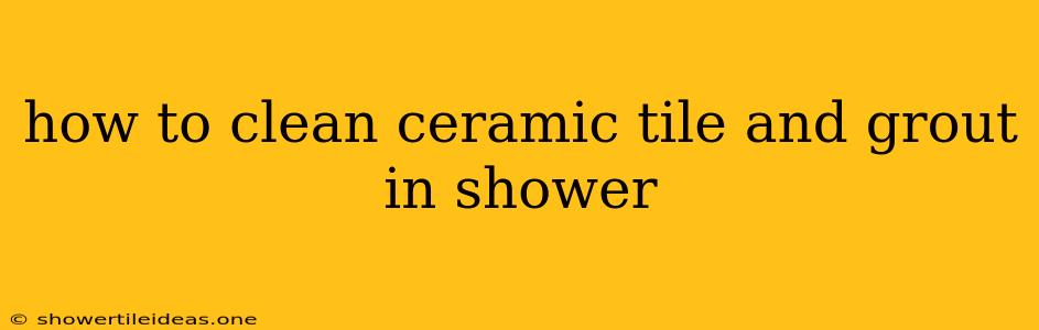 How To Clean Ceramic Tile And Grout In Shower