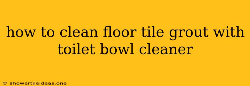 How To Clean Floor Tile Grout With Toilet Bowl Cleaner