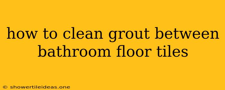 How To Clean Grout Between Bathroom Floor Tiles