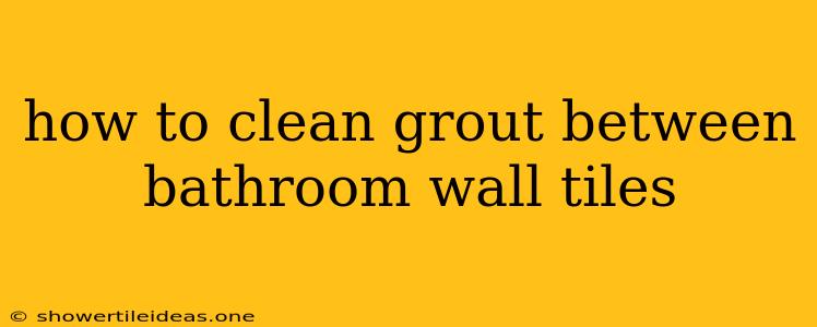 How To Clean Grout Between Bathroom Wall Tiles