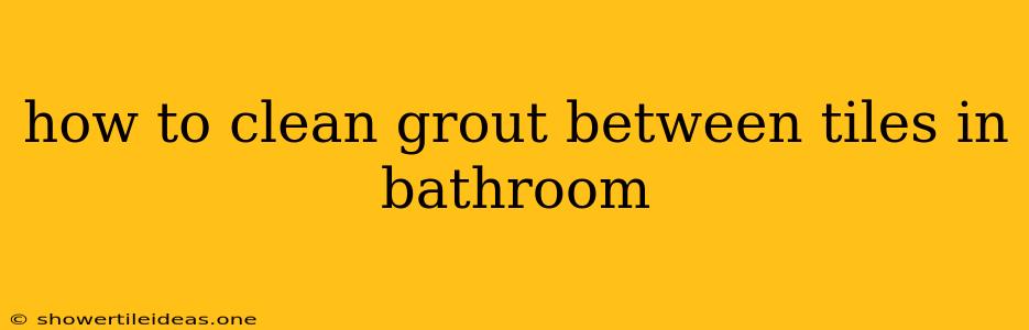 How To Clean Grout Between Tiles In Bathroom