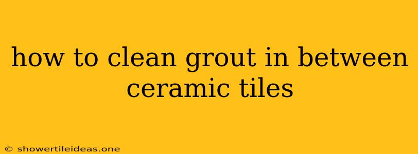 How To Clean Grout In Between Ceramic Tiles