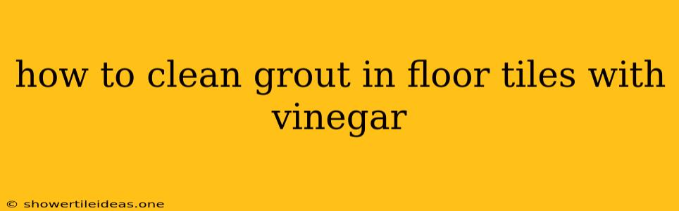 How To Clean Grout In Floor Tiles With Vinegar