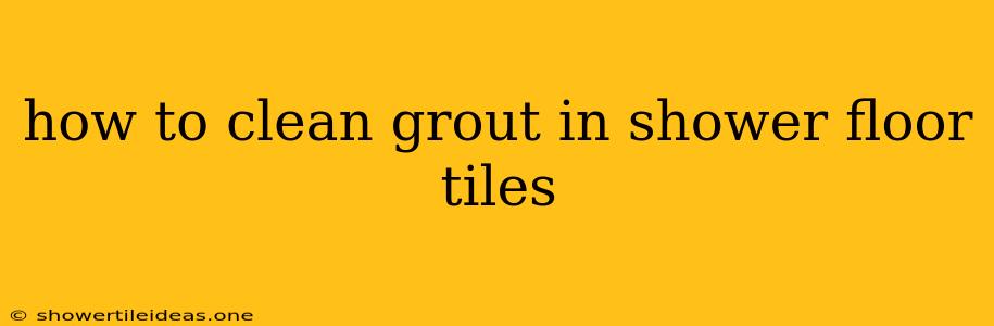 How To Clean Grout In Shower Floor Tiles