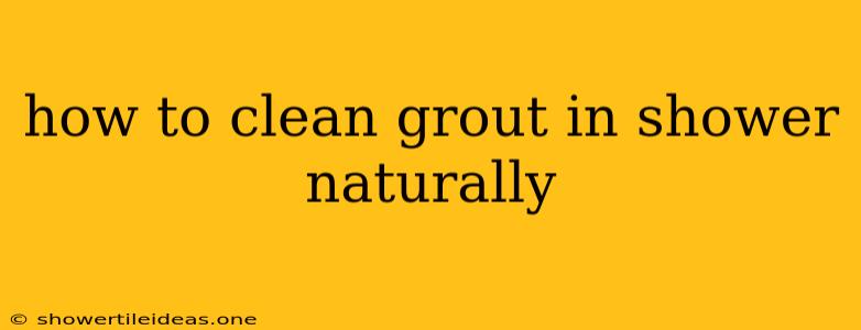 How To Clean Grout In Shower Naturally