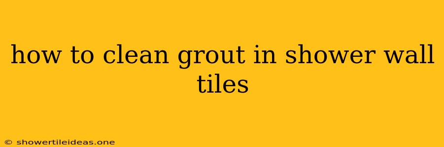 How To Clean Grout In Shower Wall Tiles