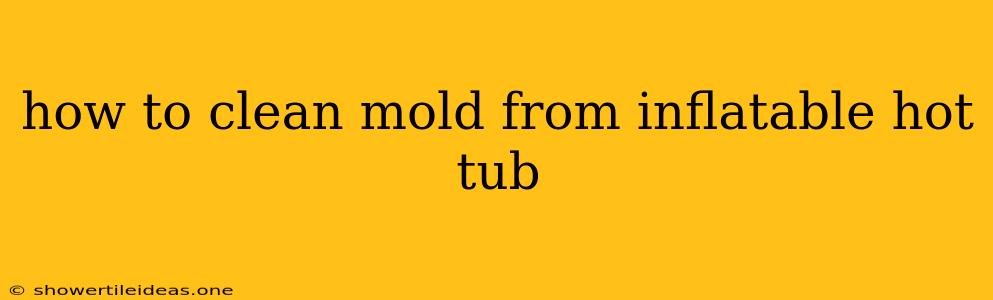 How To Clean Mold From Inflatable Hot Tub