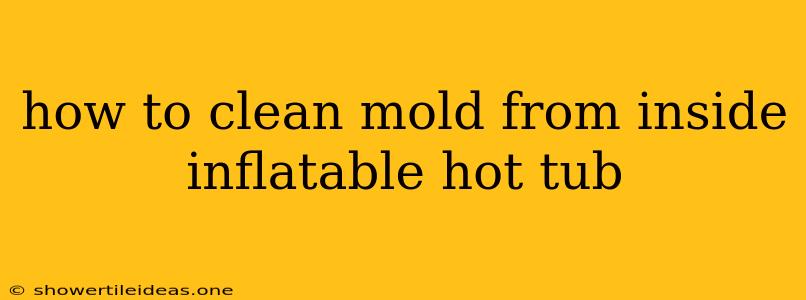 How To Clean Mold From Inside Inflatable Hot Tub