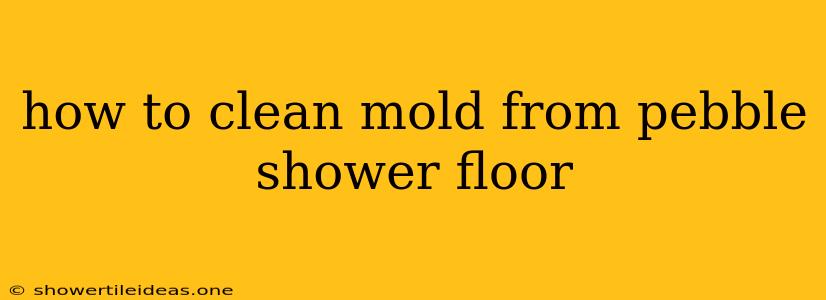 How To Clean Mold From Pebble Shower Floor